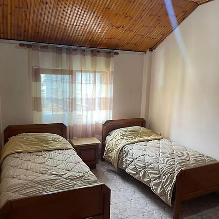Vila Dedi Appartamento Shkodër Esterno foto